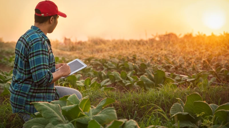 Featured image for our blog: