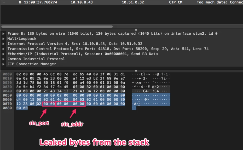 Leaked bytes from the stack