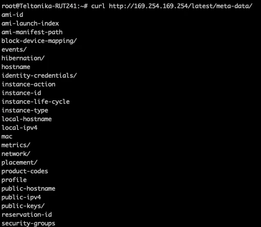 Amazon AWS meta-data service request